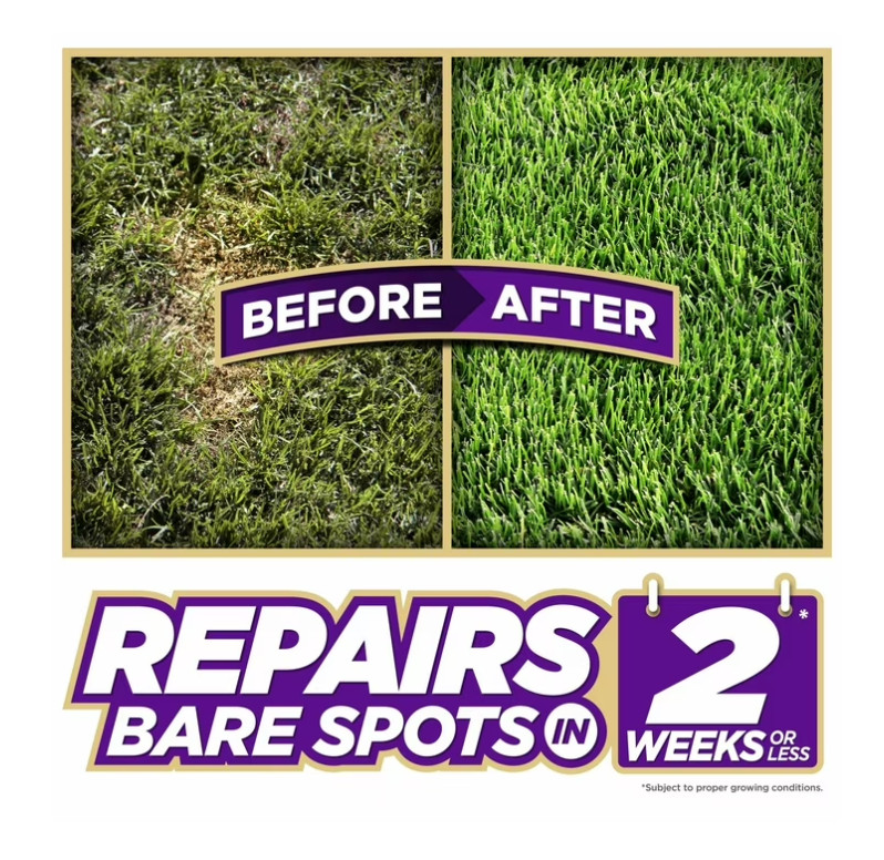 PENNINGTON GRASS SEED Dense Shade Patch & Repair Mix, Partial to Full Shade