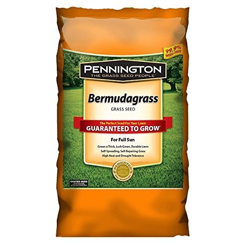 1Lb Bermuda Grass Seed Warm Season Lawn Wear Tolerant Drought Resistant Turf
