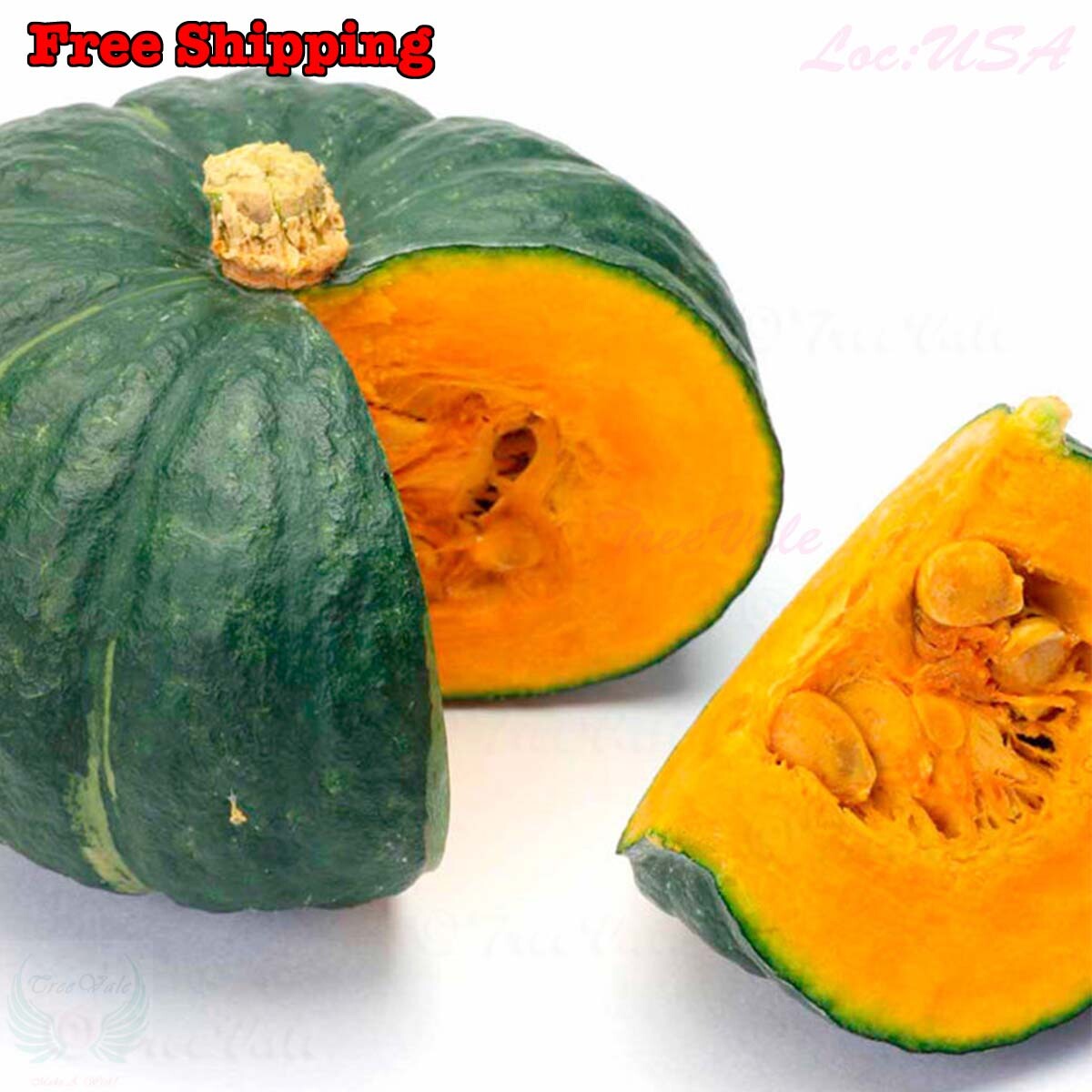JAPANESE KABOCHA SEEDS pumpkin winter squash heirloom GREEN PUMPKIN Seeds