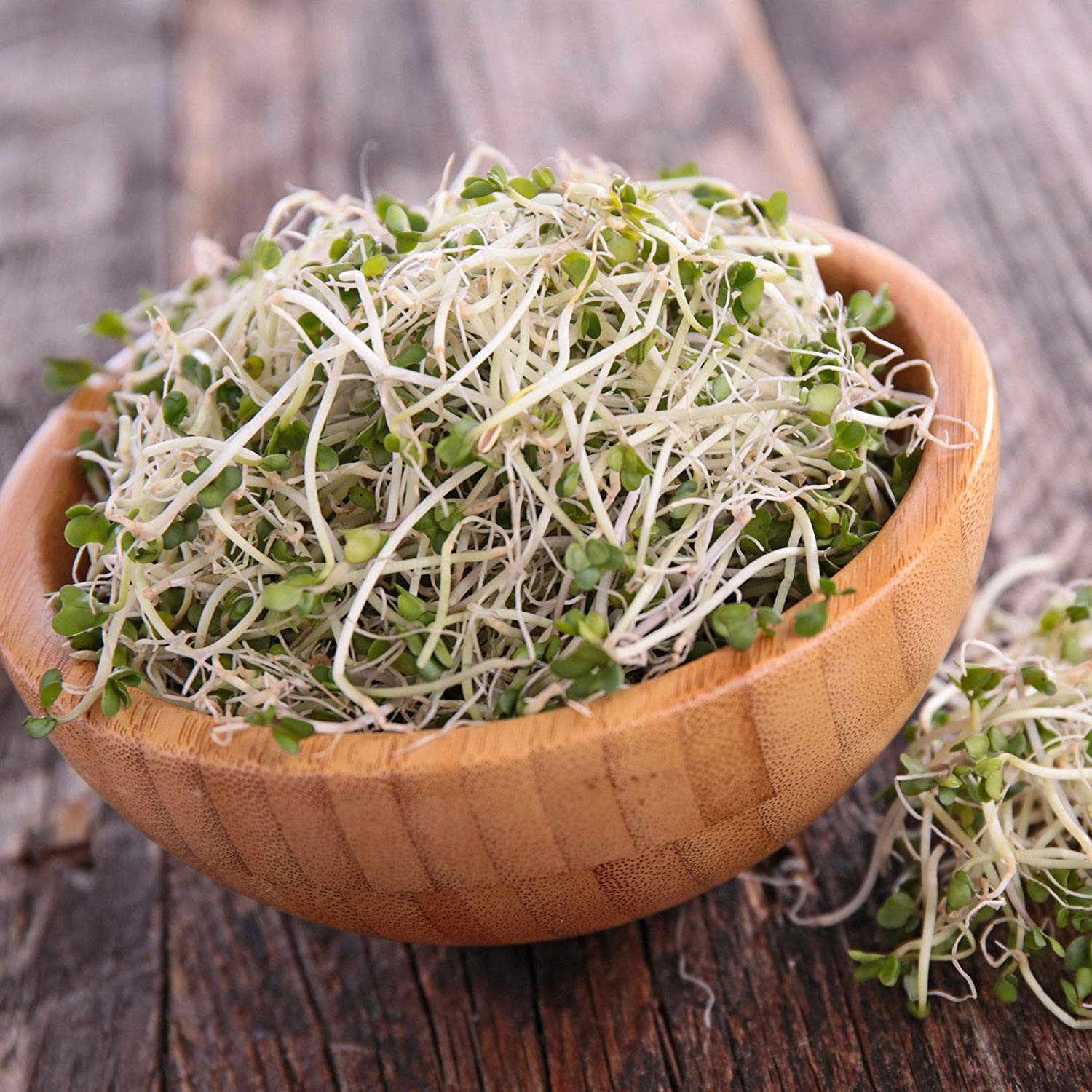 Organic Broccoli Sprouting Seeds NonGMO, 2.5 lb Resealable Bag, Rich in