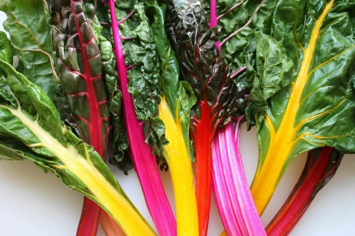 Swiss Chard Seeds, Rainbow Swiss Chard Seeds, “COOL BEANS N SPROUTS” Brand.