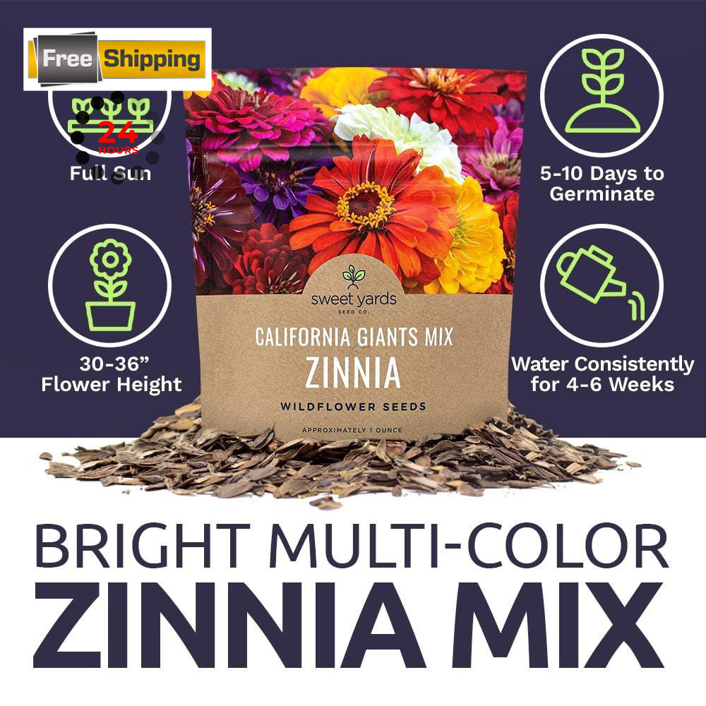 Zinnia Seeds – California Giants Mix – Large 1 1 Ounce Pouch, Multiple Colors
