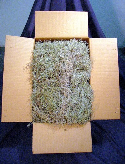 Dried Spanish Moss – 5 Pound – Floral Decor, Arts & Crafts, Pet Bedding