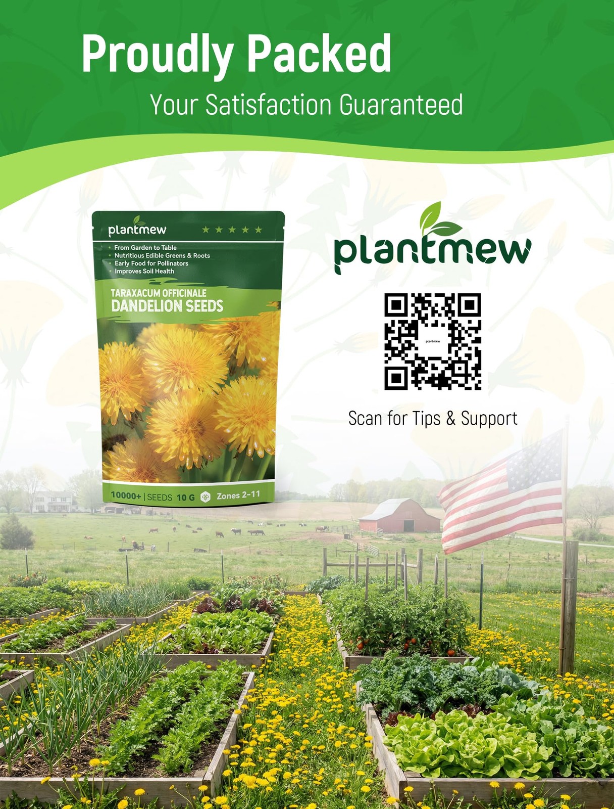 Dandelion Seeds for Planting – 4,000+ Heirloom Herb green