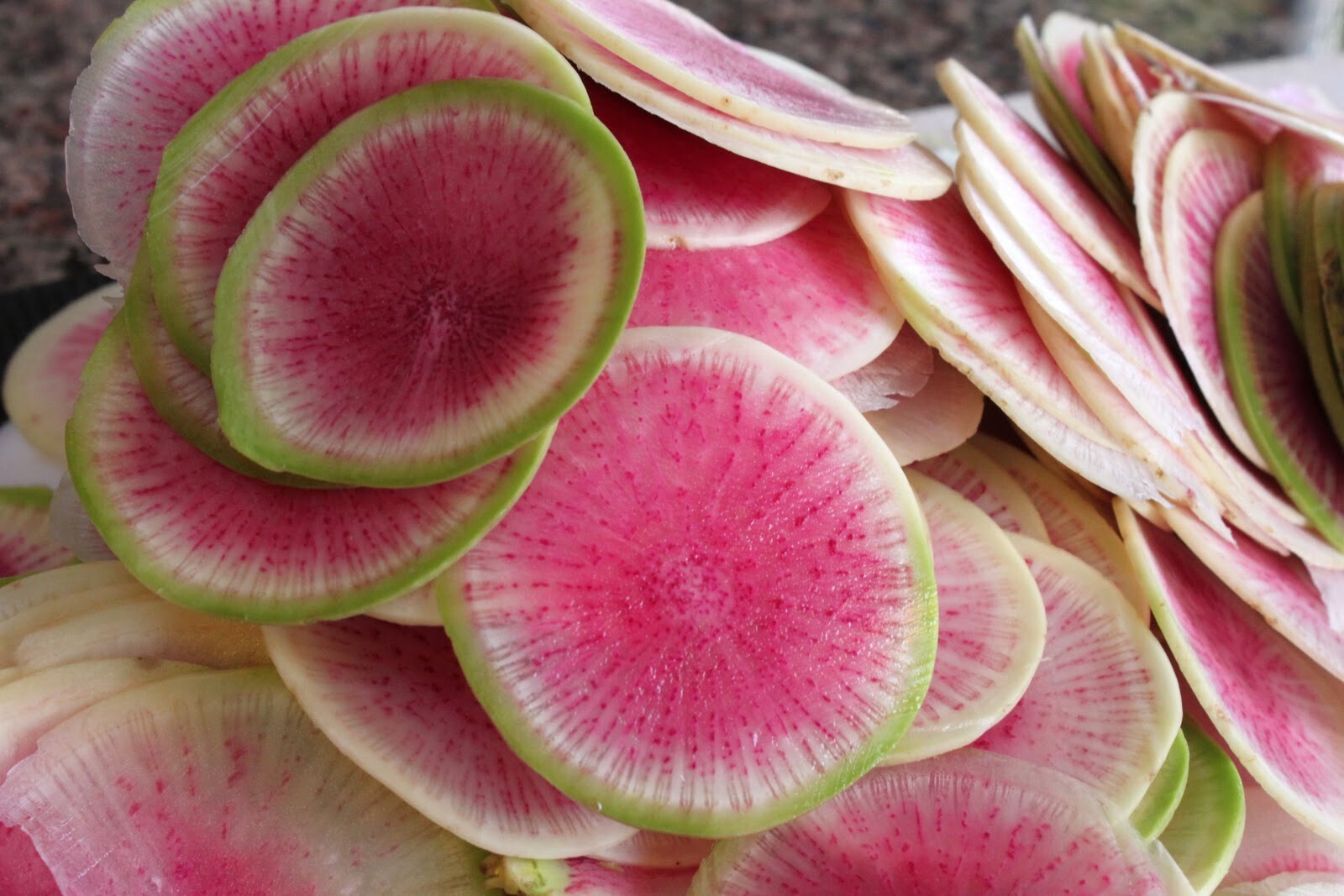 Watermelon Radish Seeds, NON-GMO, Shrinrimei, Chinese Heirloom, FREE SHIPPING