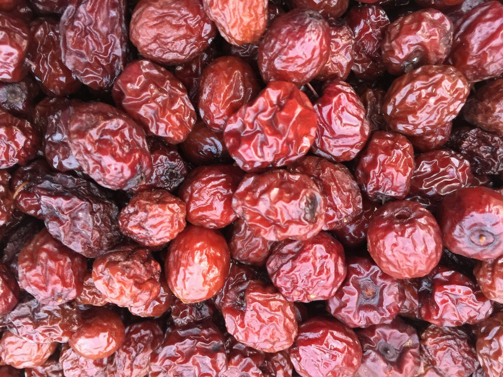 Jujube Fruit Tree superfruit Ziziphus jujube Fast Growing 10 seeds Free Shipping
