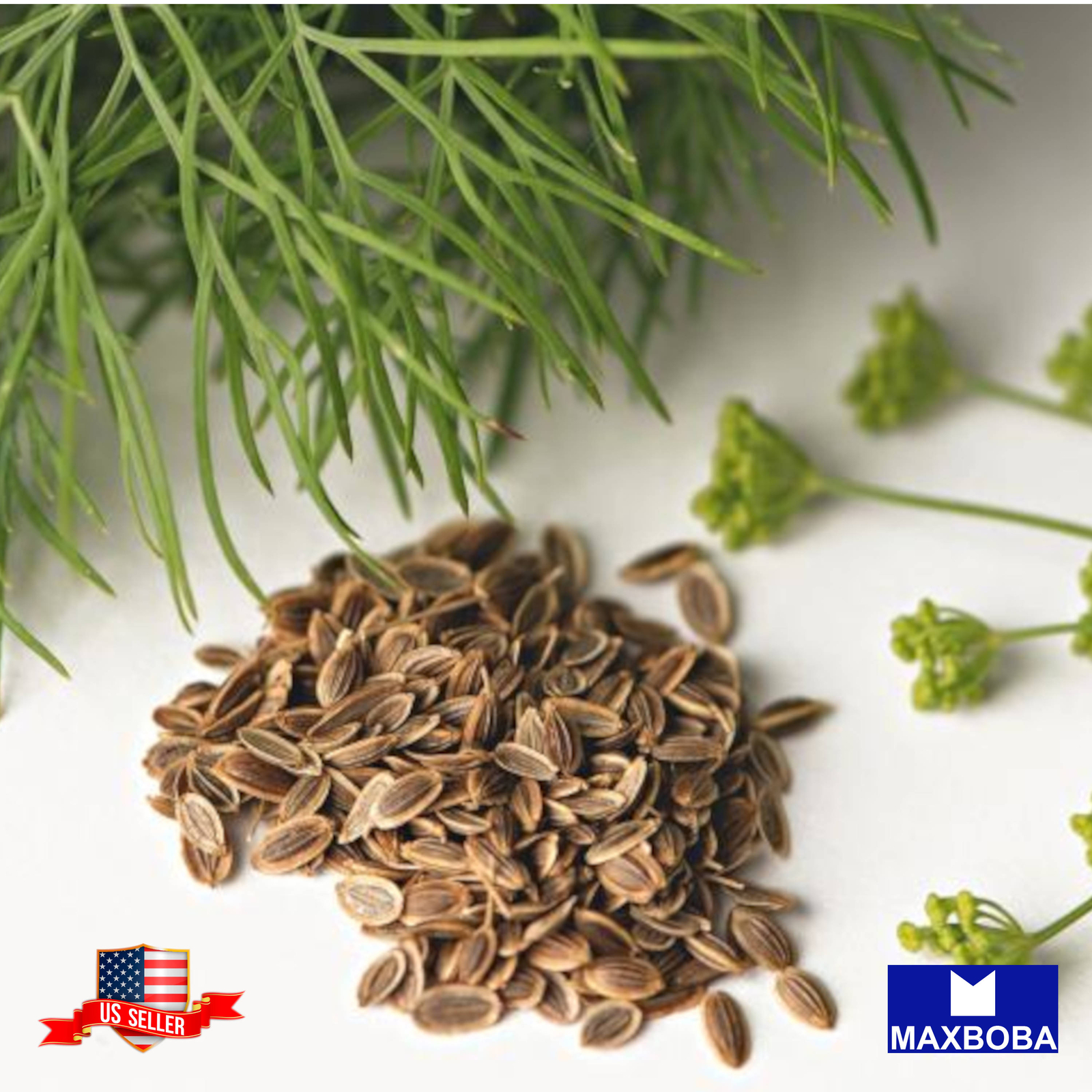 Fresh!! Dill Herb Seeds Non-GMO Heirloom