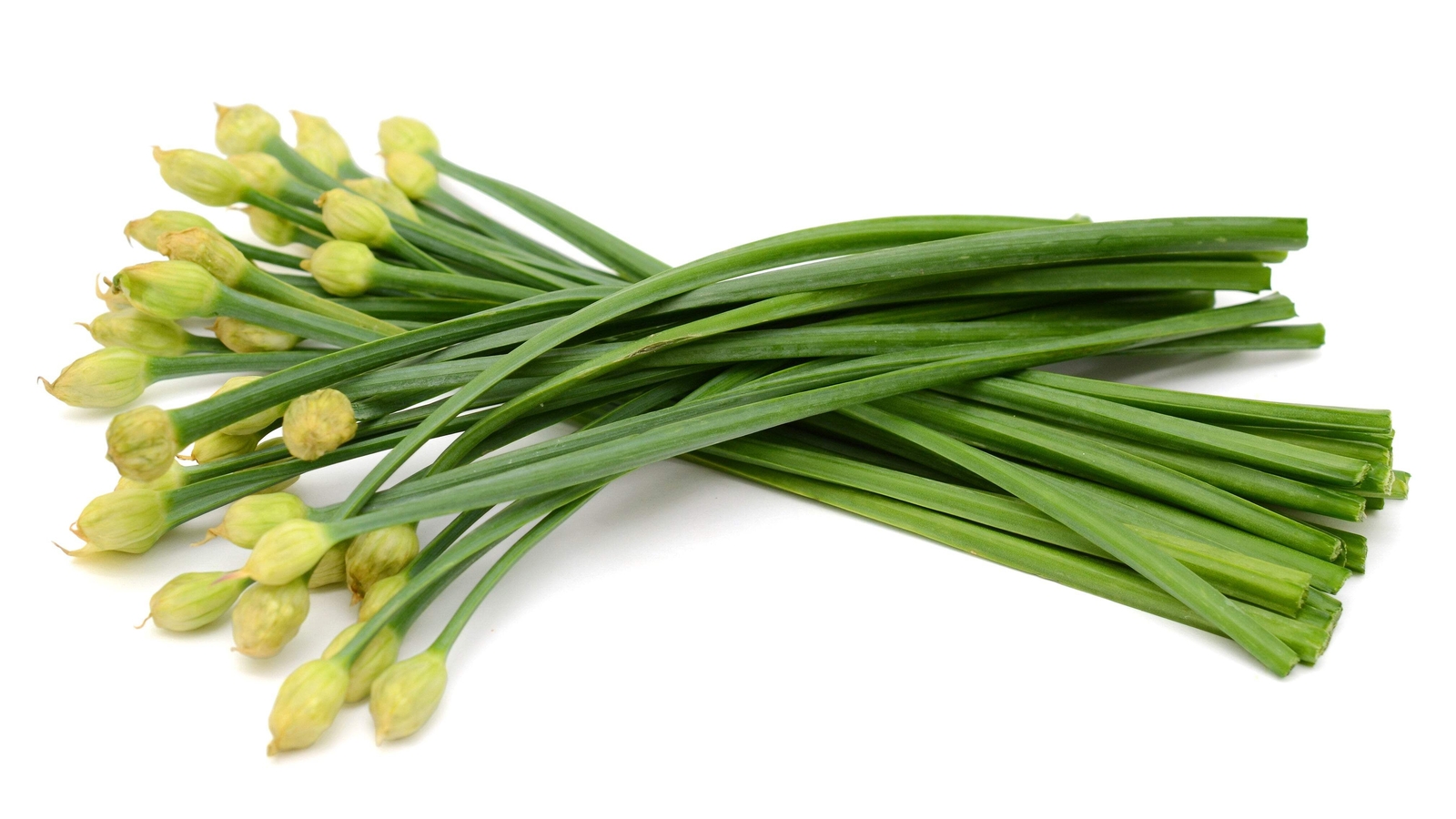 500 CHINESE LEEK ( Oriental Garlic Chives ) Allium Tuberosum Vegetable Seeds