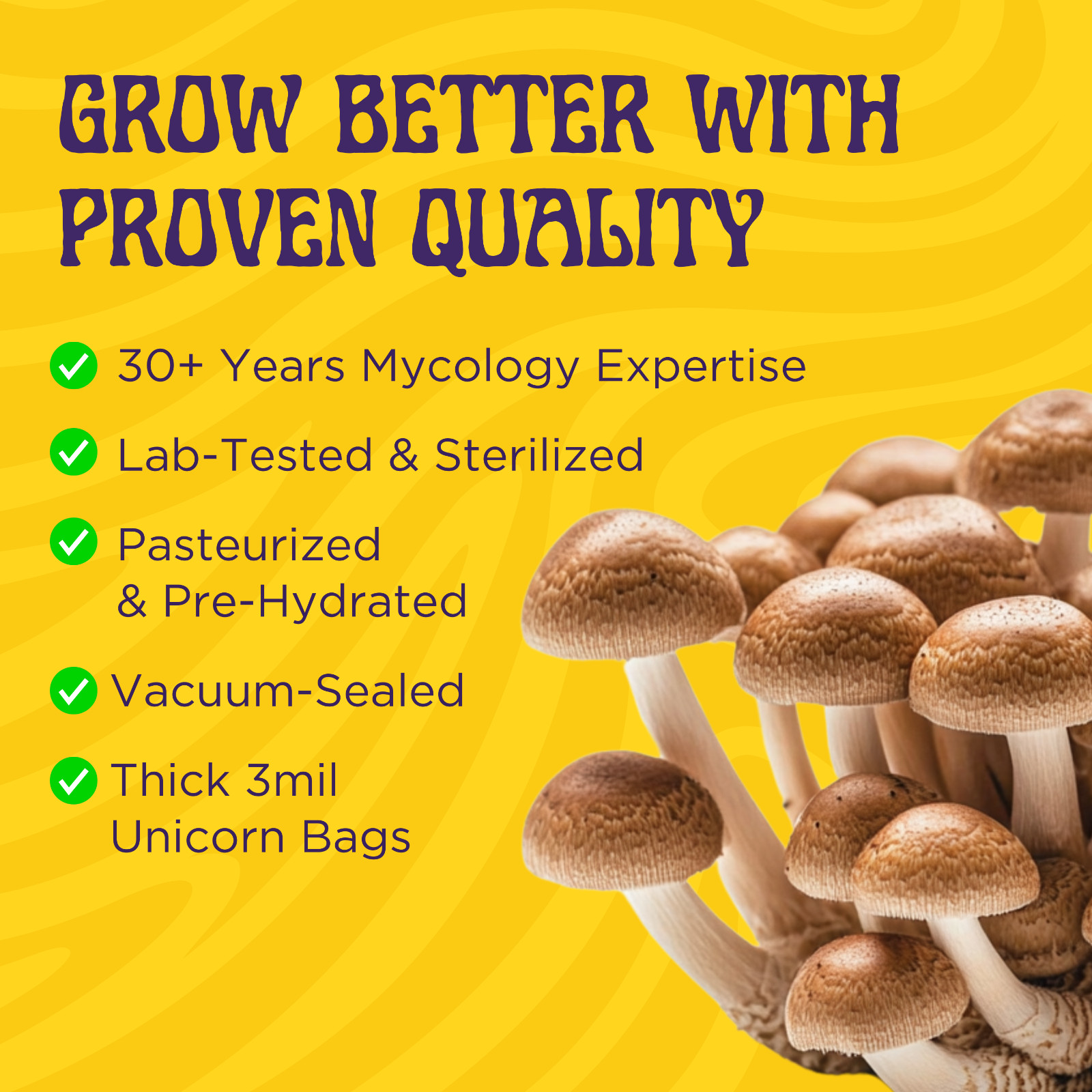 6lbs All-in-One Mushroom Grow Kit in a Bag | HUGE FLUSHES | Easy to Use