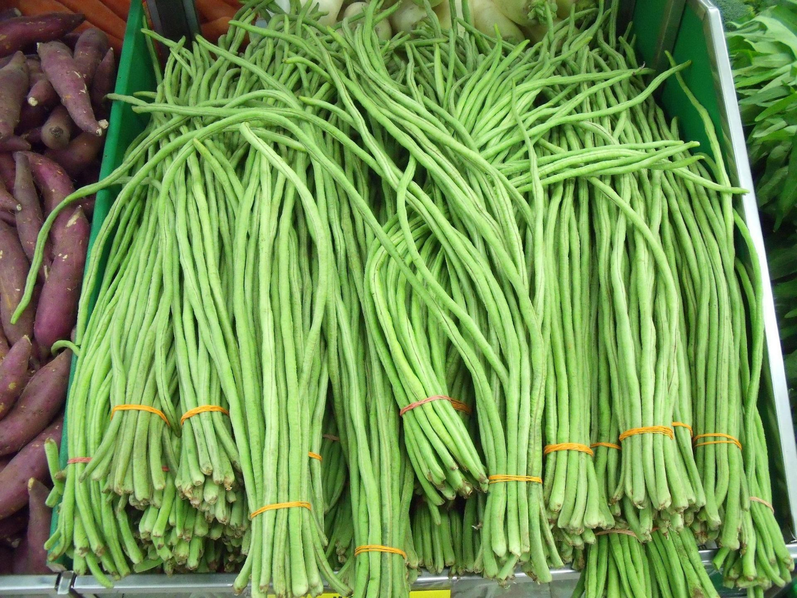 120 Dark Green Yard Long Bean Seeds —- Heirloom – Organic – Heirloom — FRESH