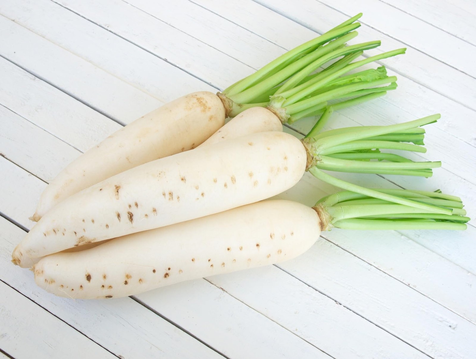 Japanese Daikon Radish Seeds for Planting – 100 Heirloom Non GMO -…