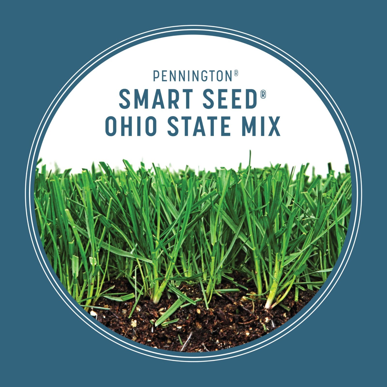Premium Grass Seed Ohio State Mix – 7 LB, Drought Resistant, Fast Germination