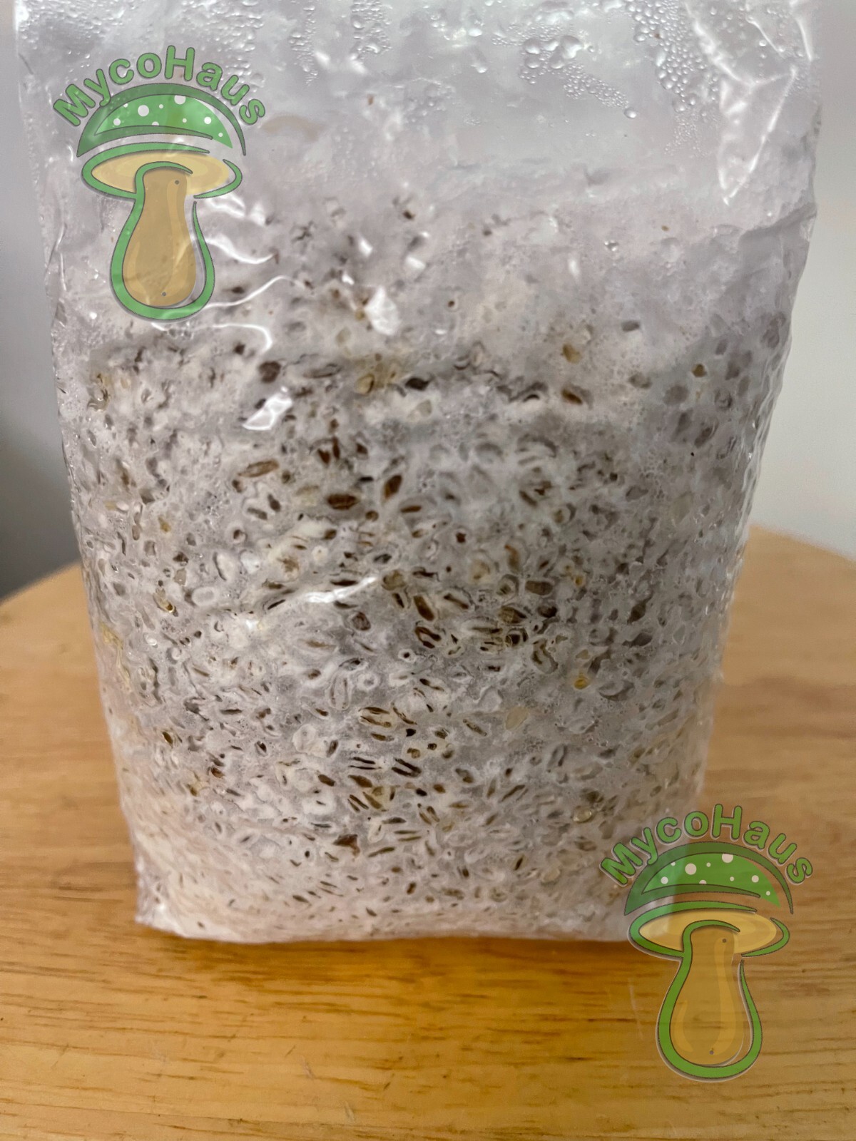 one pound sterilized rye grain bags with injection port mushroom substrate