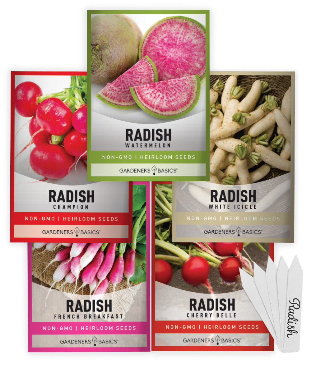 Radish Seed Assortment | 5 Variety Pack
