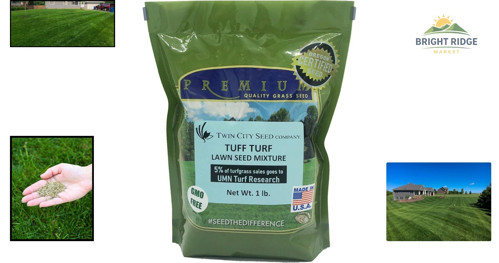 Traffic Tolerant Grass Seed Mix for Quick Establishment and Versatile Use