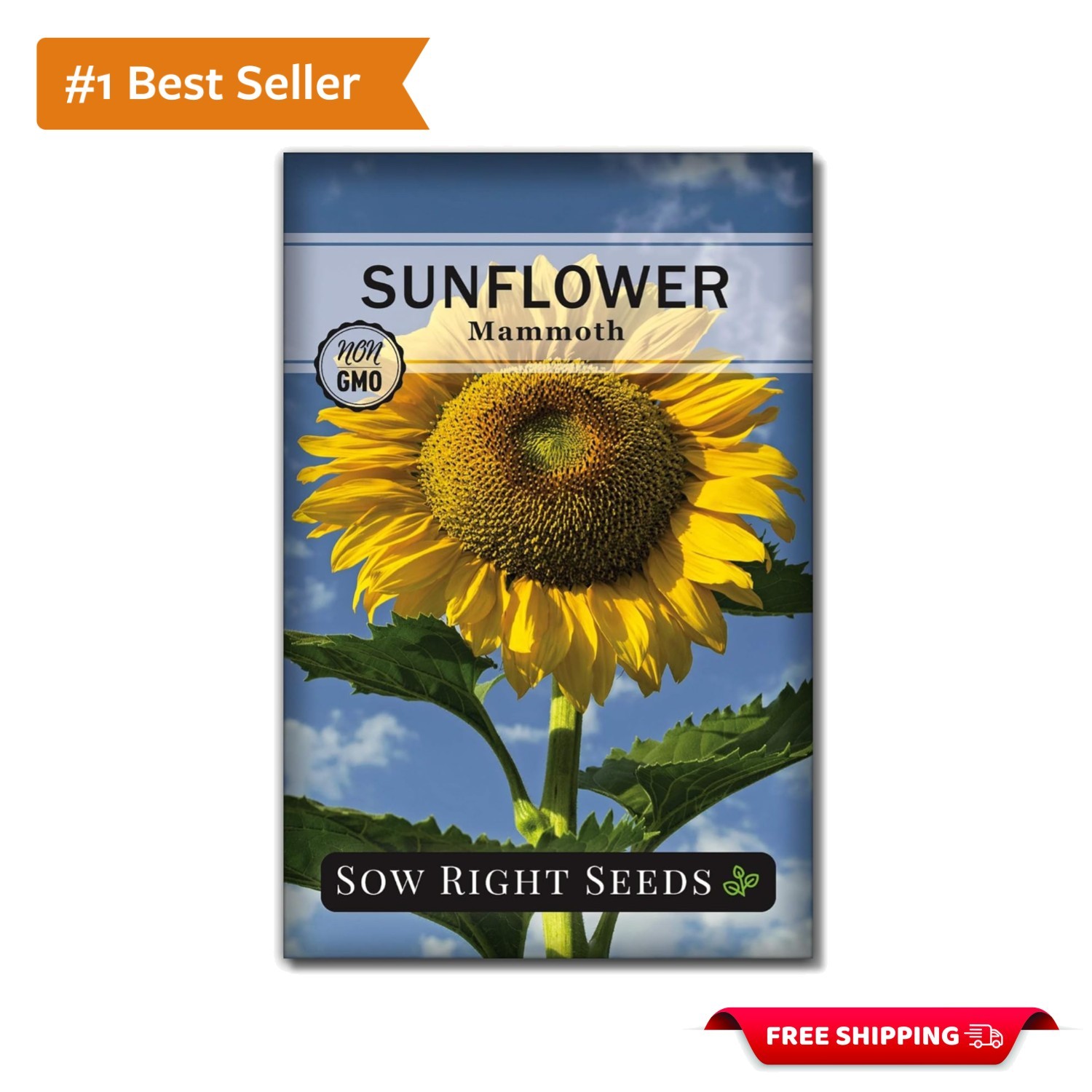 Mammoth Sunflower Seeds – High Germination Rate – Fragrant Outdoor Garden Blooms