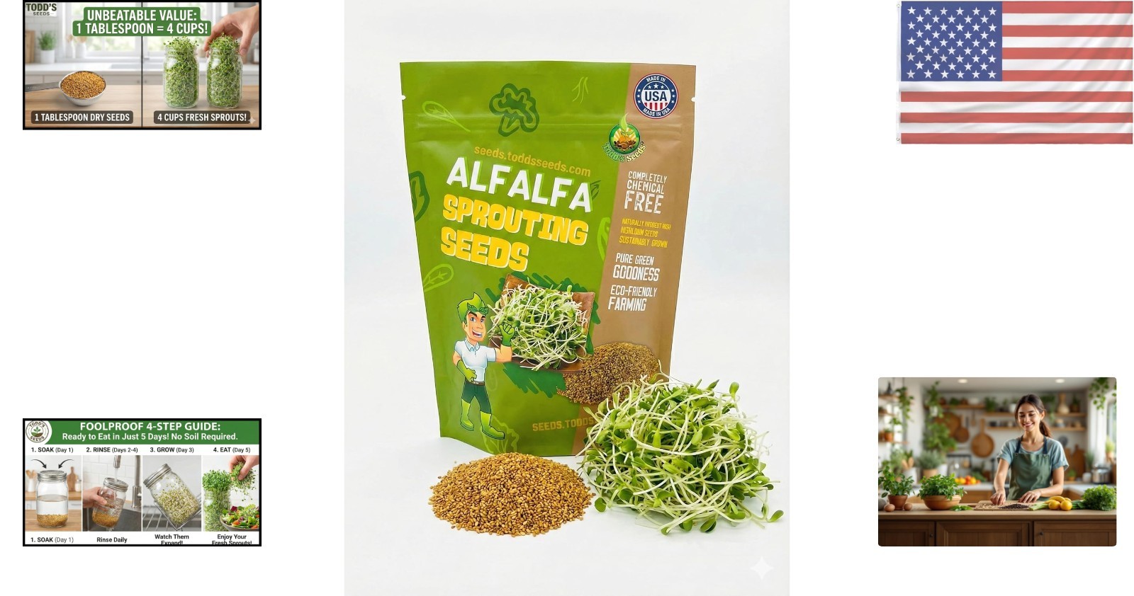 1/4 Pound Alfalfa Sprouting Seeds – Fast Growing, Nutritious & Delicious