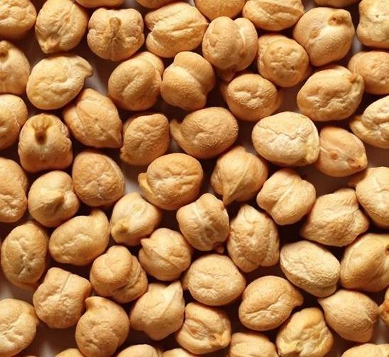 20+Chick PEA / GARBANZO BEAN Chickpea Cicer Arientum Vegetable Seeds Heirloom