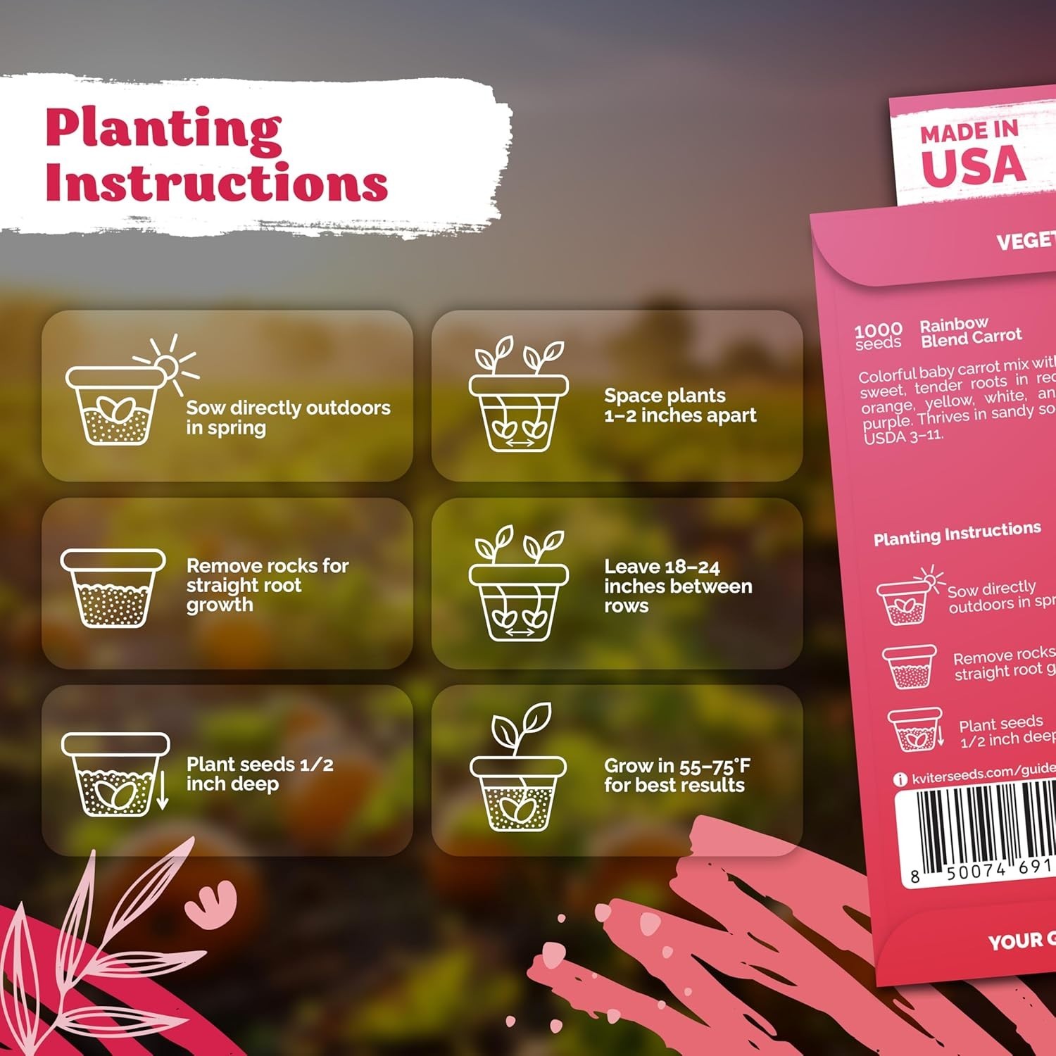 Organic 1,000 Rainbow Carrot Seeds – Easy Planting for Spring to Summer Harvest