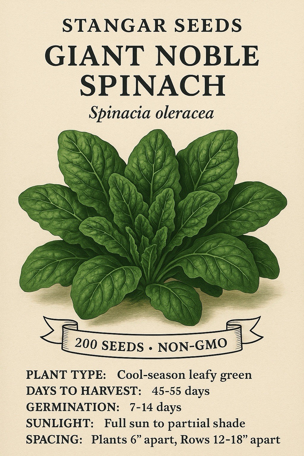 200 Giant Noble Spinach Seeds NON-GMO