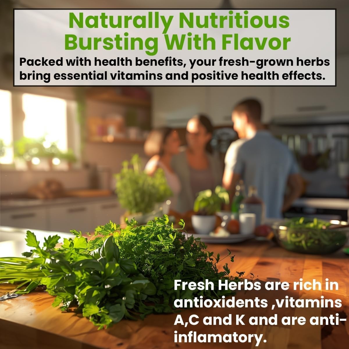 5 Variety Herb Seeds for Indoor & Outdoor Gardens – Gift of Flavor