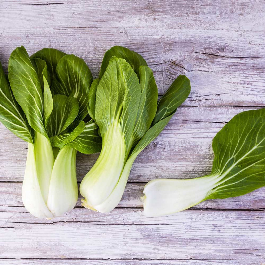 Fresh Canton Pak Choi Bak Choi Seeds | Heirloom Non-GMO | Asian Vegetable Seeds