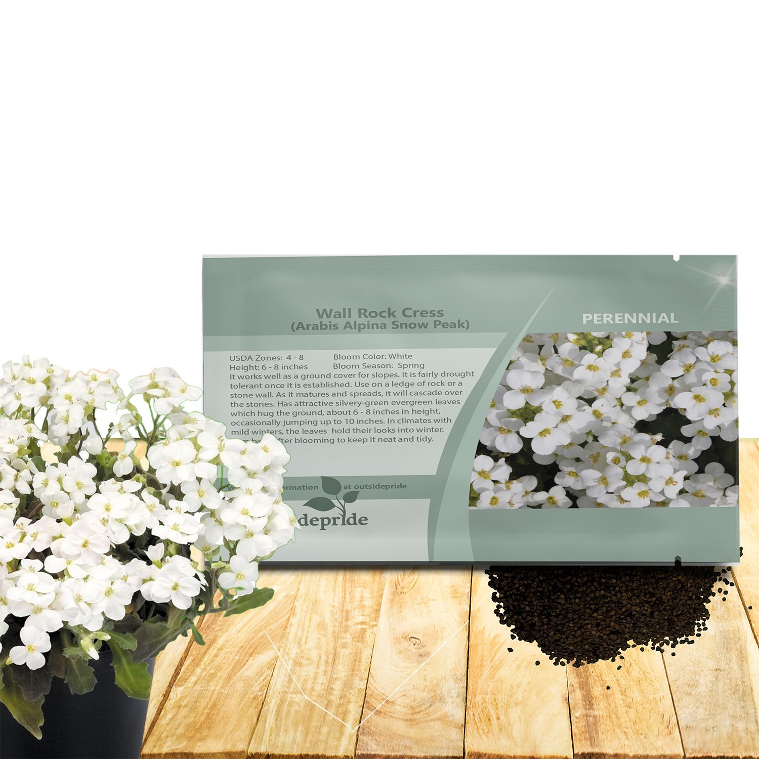 10000 Seeds Arabis Rock Cress Drought Tolerant Ground Cover Plant Seed