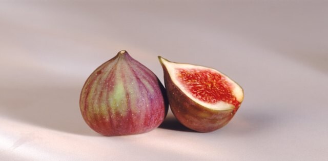 50+ Fig Tree Seeds – Ficus carica Sweet Fruit Shrub-Free Shiiping #