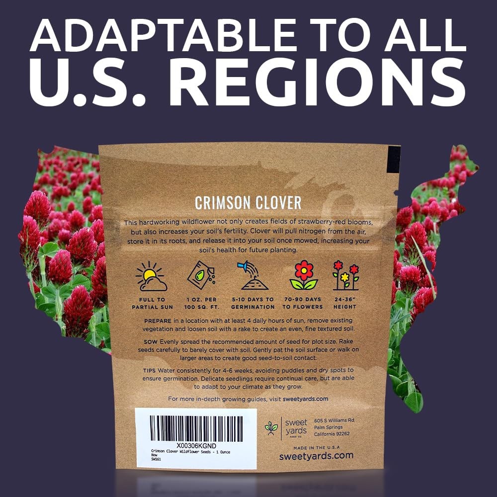 Crimson Clover Seeds – Extra Large Packet – Over 5,000 Open Pollinated NonGMO…