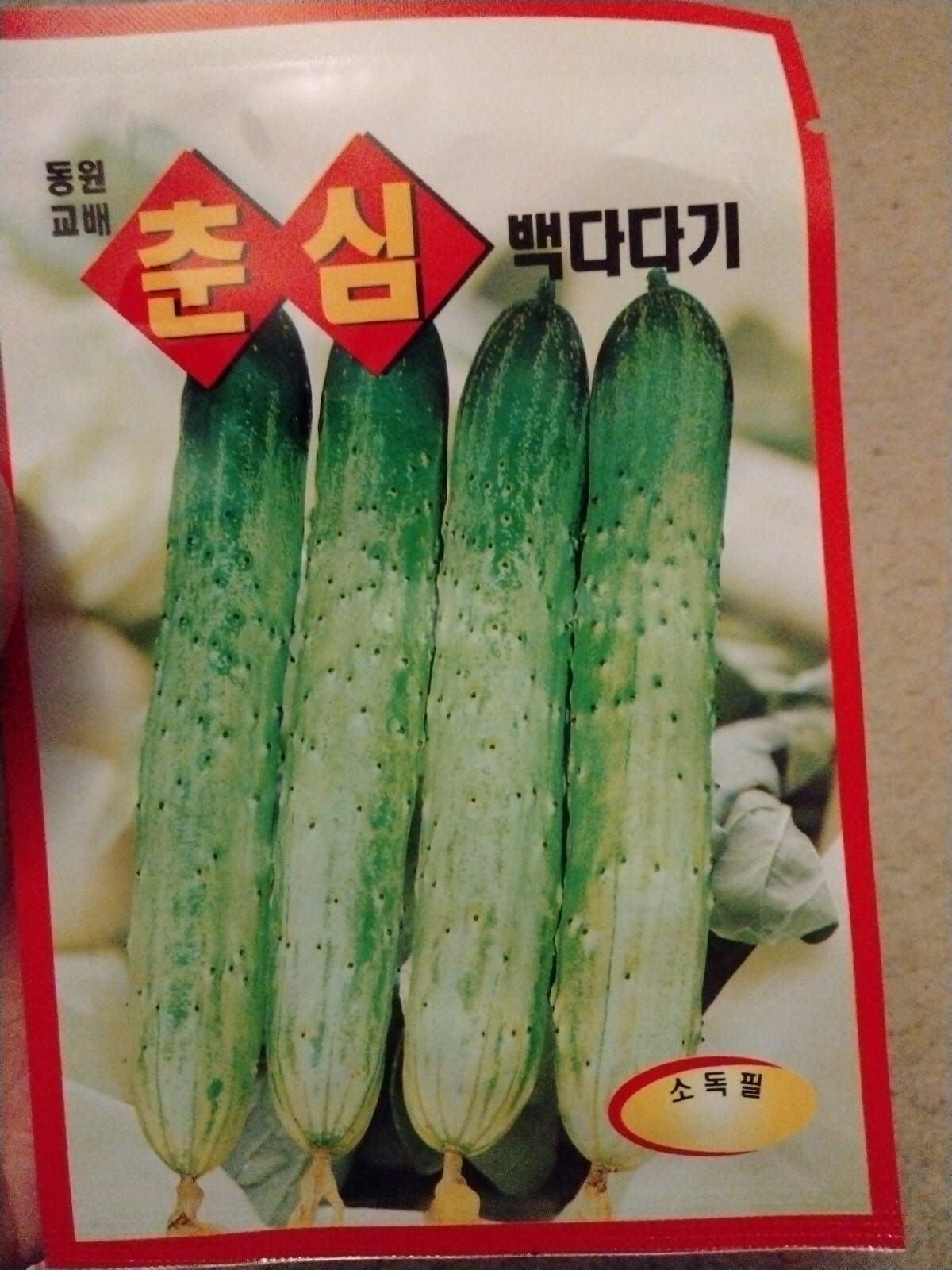 Korean Cucumber 1 Pack seeds Asian White Green Sweet Crisp  Cucumber kimchi