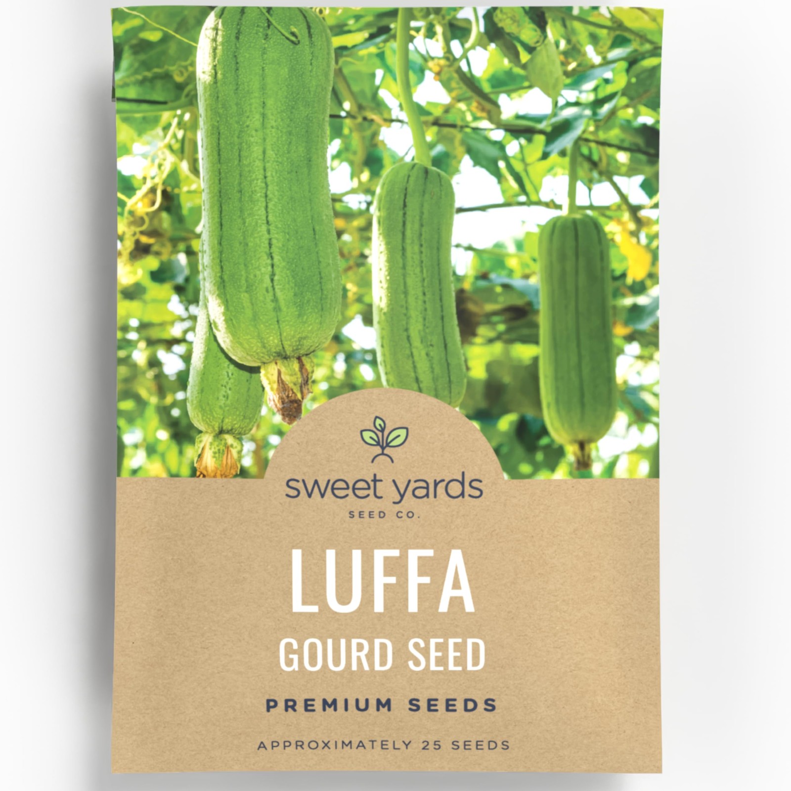 Luffa Gourd – Large 2,500mg Envelope – 25 Flower Seeds for Planting – Luffa…