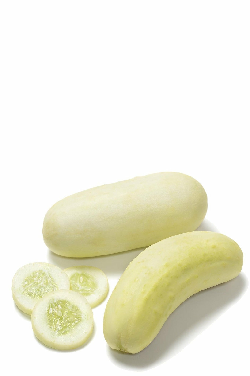 Organic Boothby’s Blonde Cucumber – Cucumis sativus