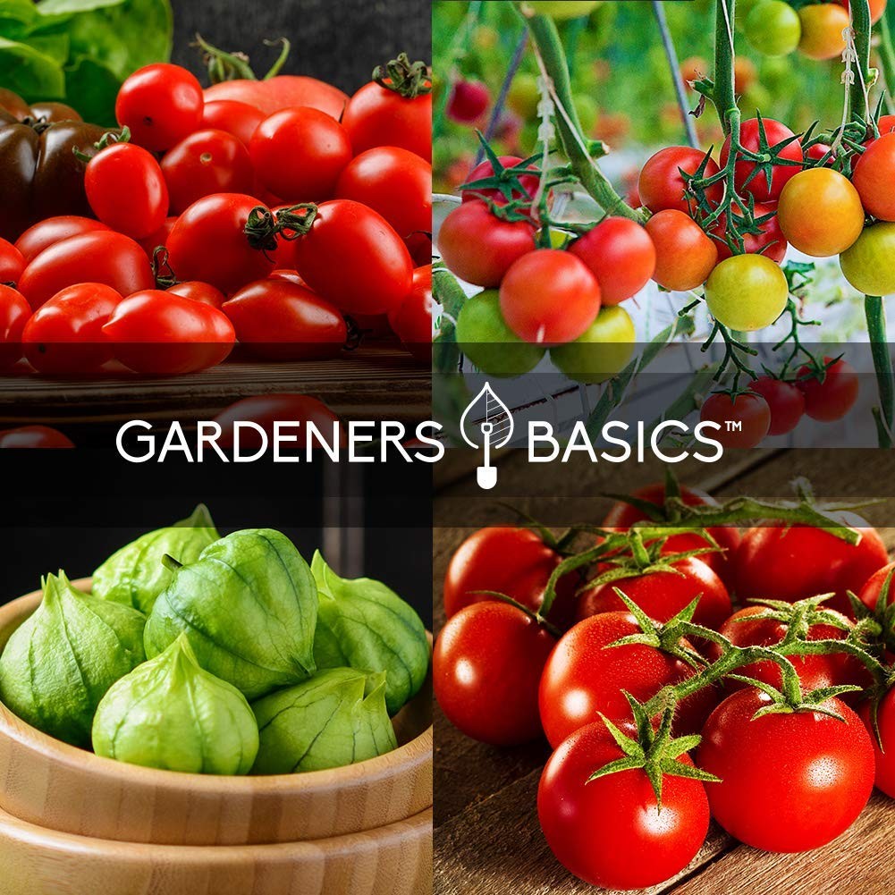 Tomato Growing Kit – Grow 8 Varieties of Delicious Red, Yellow, Purple, Green