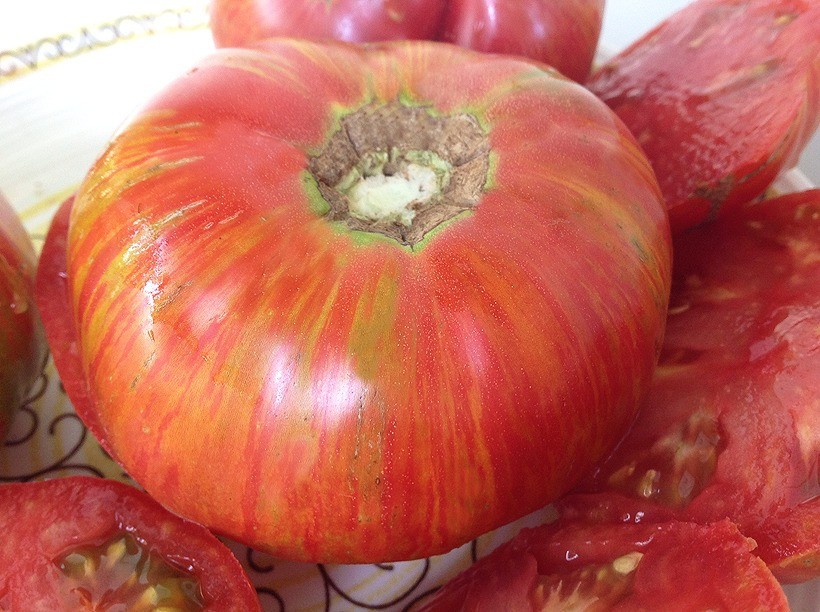 10 seeds DWARF Firebird Sweet Tomato Organic Rare Variety DTP beefsteak