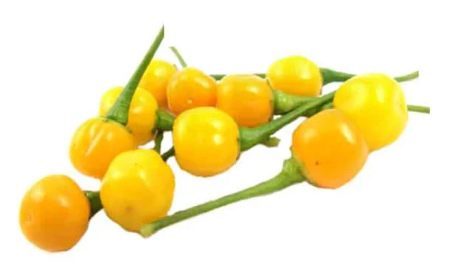 Rare Chili Seeds (Aji Charapita, Pineapple, Mango, Cucamelon)