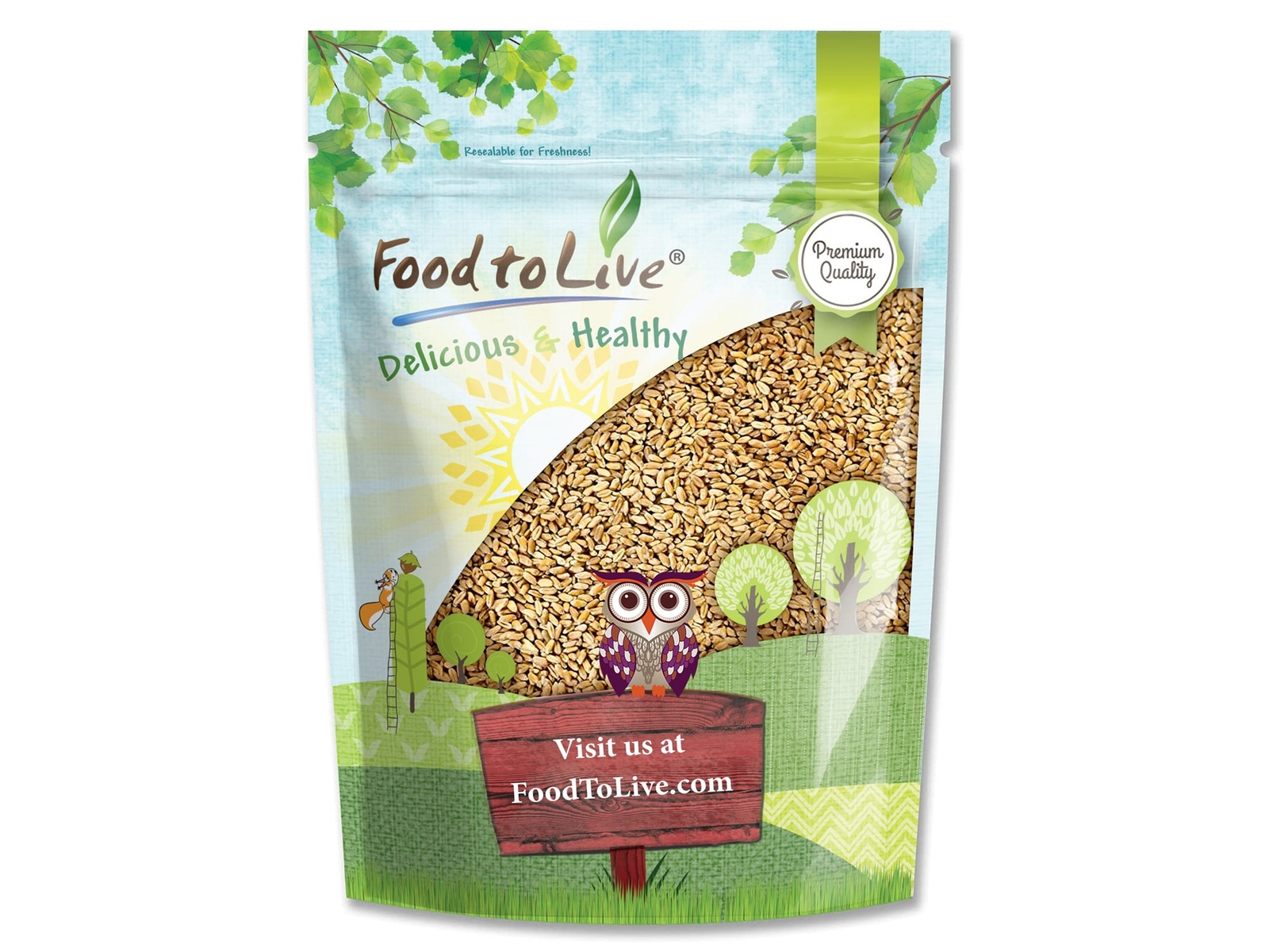 Wheat Berries – Sproutable, Kosher, Raw – by Food To Live