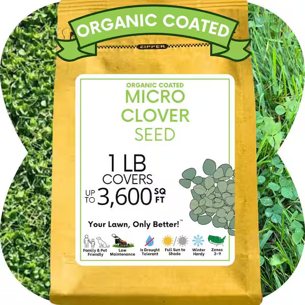 Micro Clover Seed 1 Lb, Organic Coated, Eco-Friendly, Low Growing, Low Maintenan