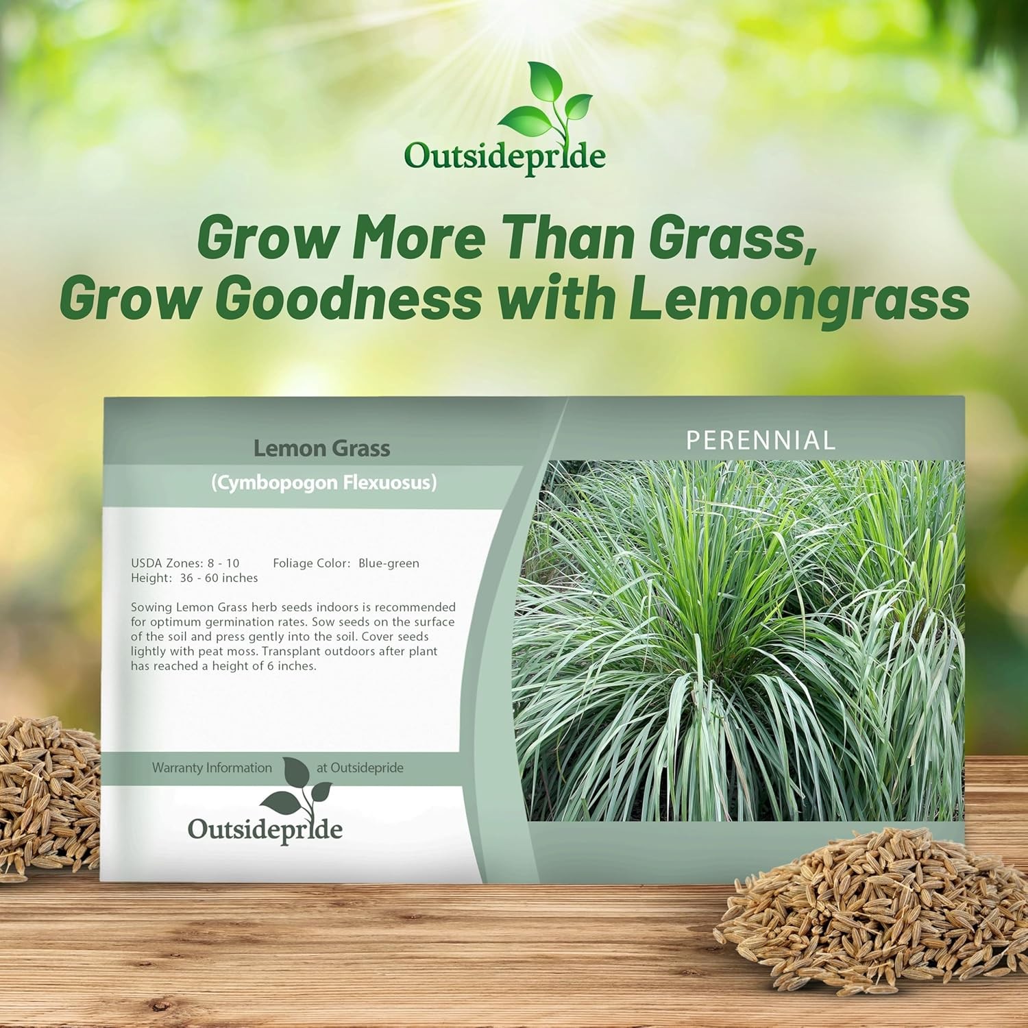 2000 Seeds Lemon Grass Seeds For Planting – Cymbopogon Flexuosus Ornamental