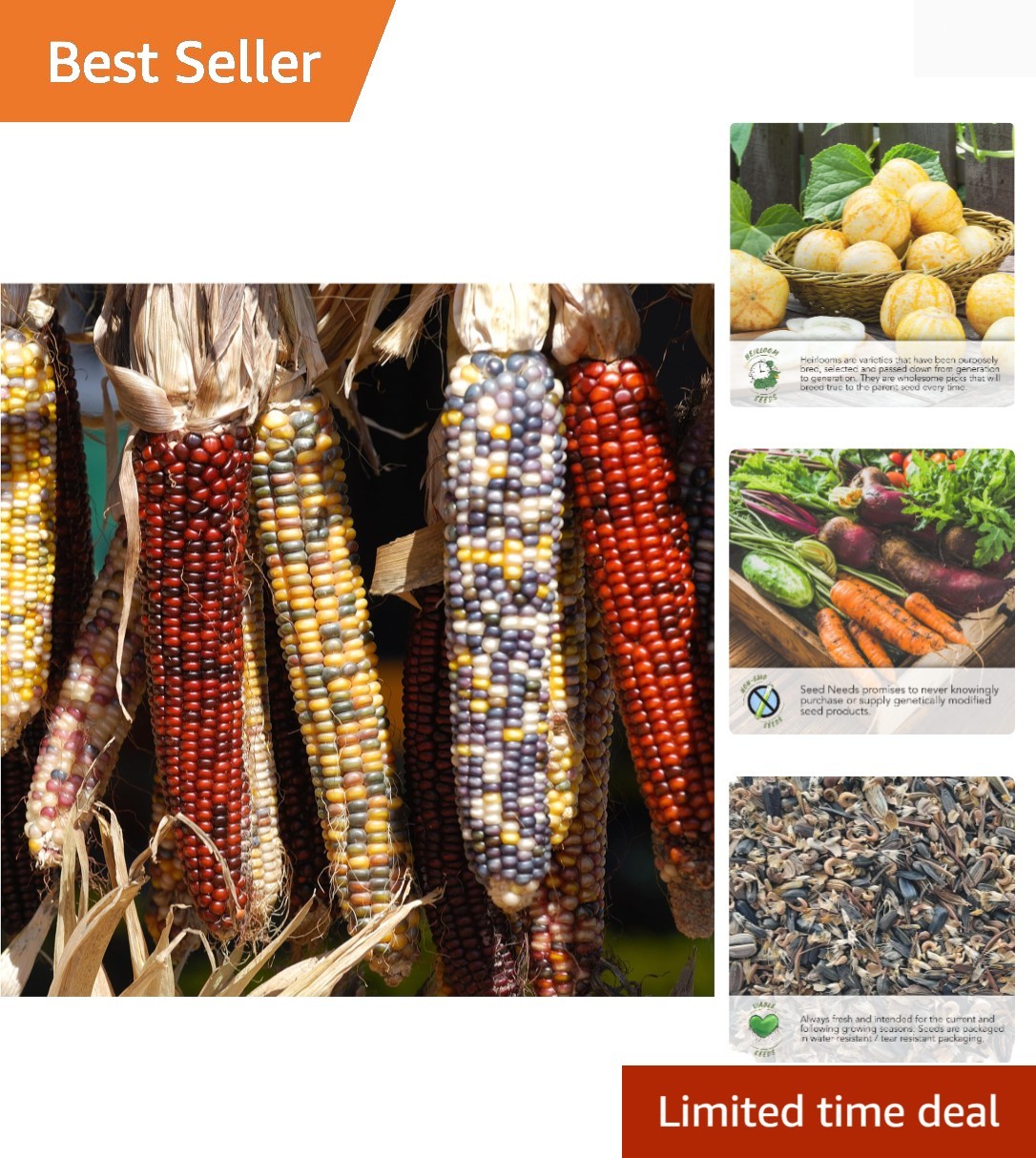 Corn Seeds Multicolor Ornamental Indian Corn | 200+ Seeds Zea Mays Non GMO Fl…