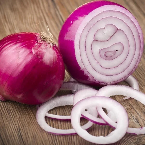Red Burgundy Onion Seeds (200) / ORGANIC / FLORIDA GROWN