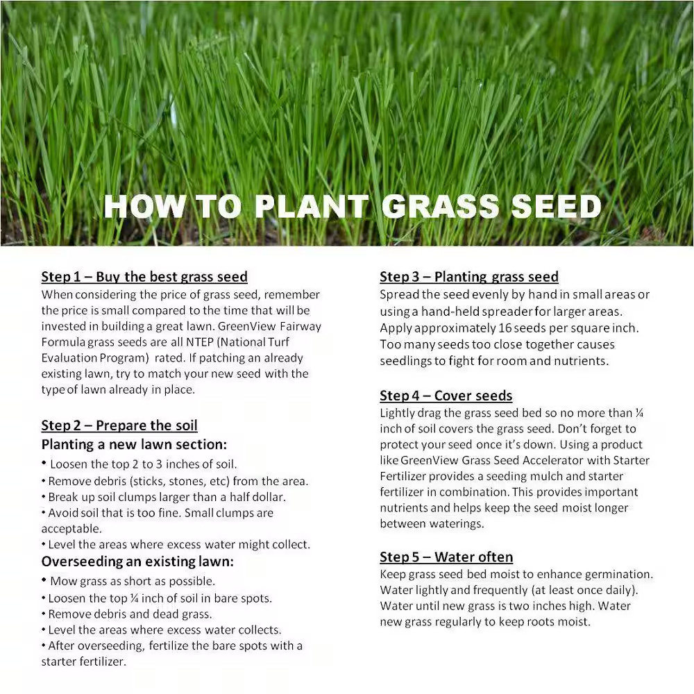 50 Lbs. Perennial Ryegrass Blend
