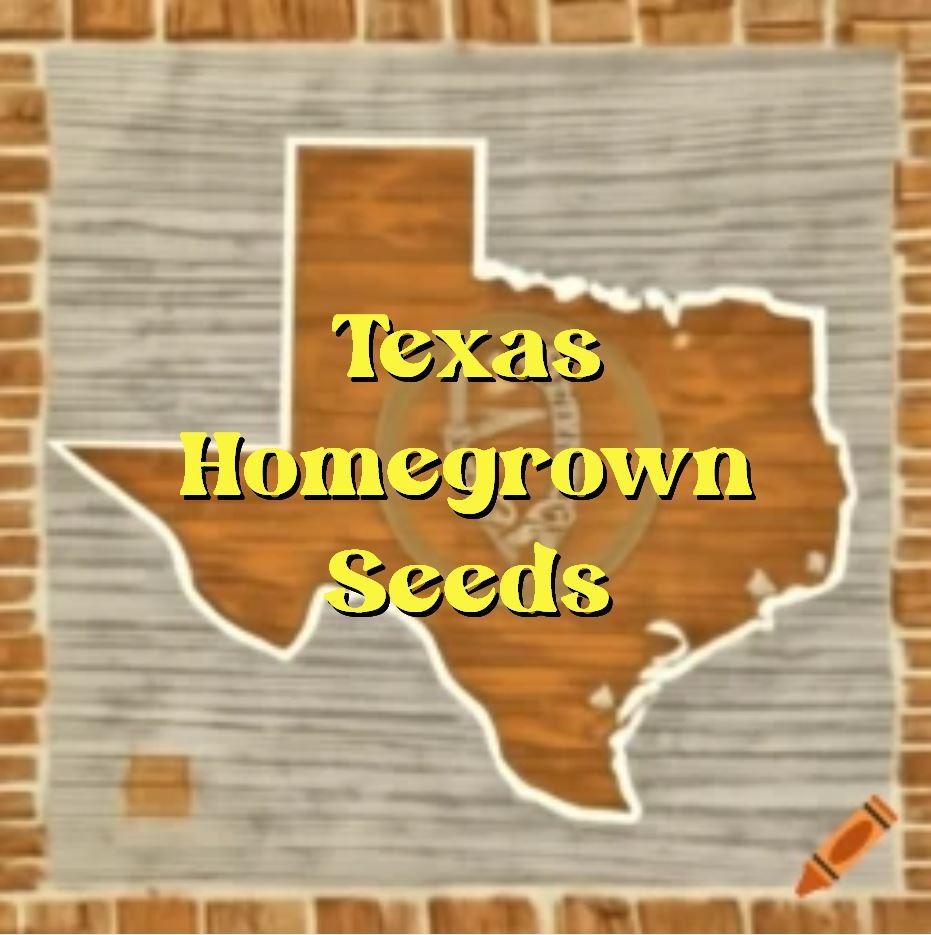 600 Heirloom Waltham 29 Brocolli Seeds – Winter Garden Favorite – NonGMO Organic