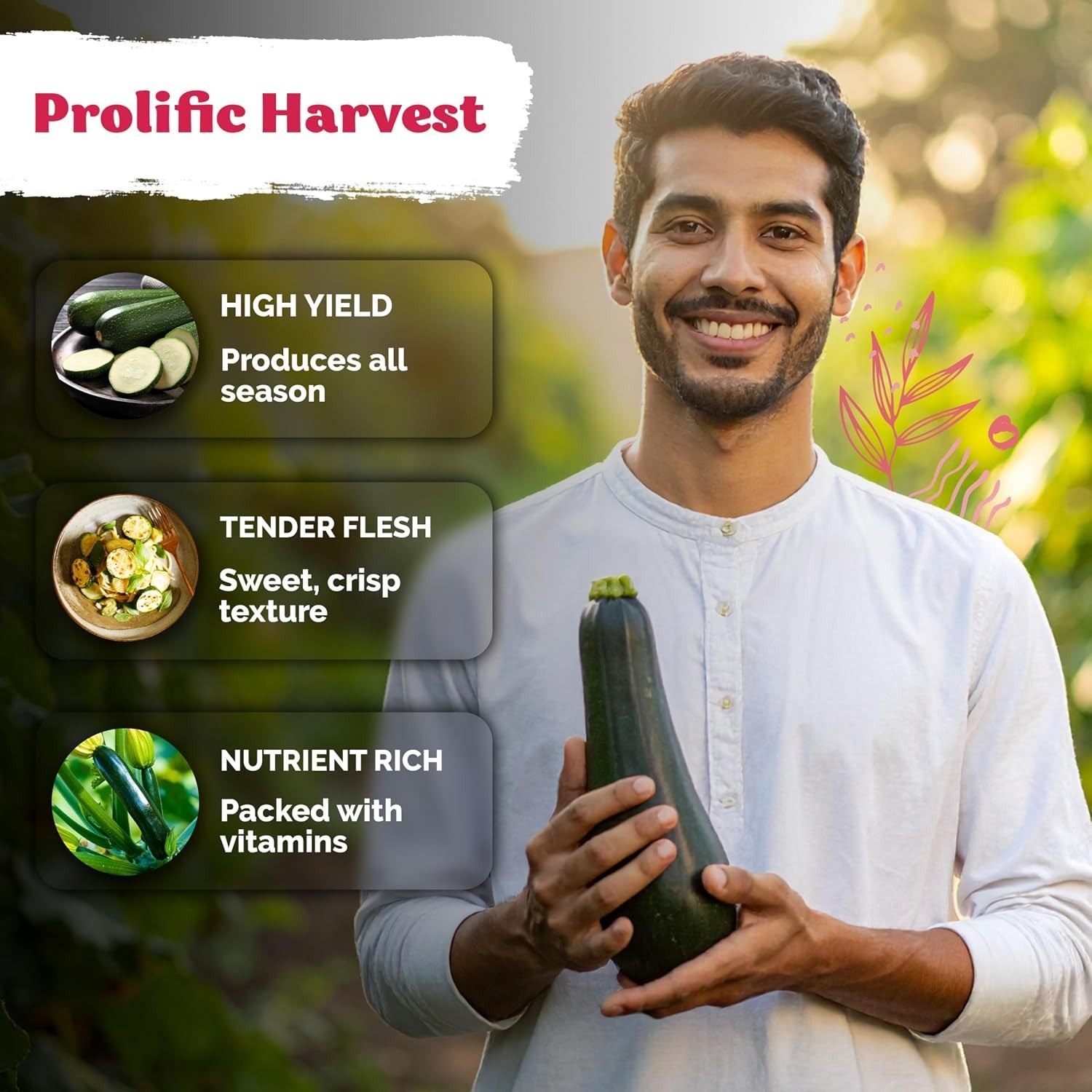 KVITER 50 Black Beauty Zucchini Seeds for Planting (Cucurbita Pepo) – Non-GMO He