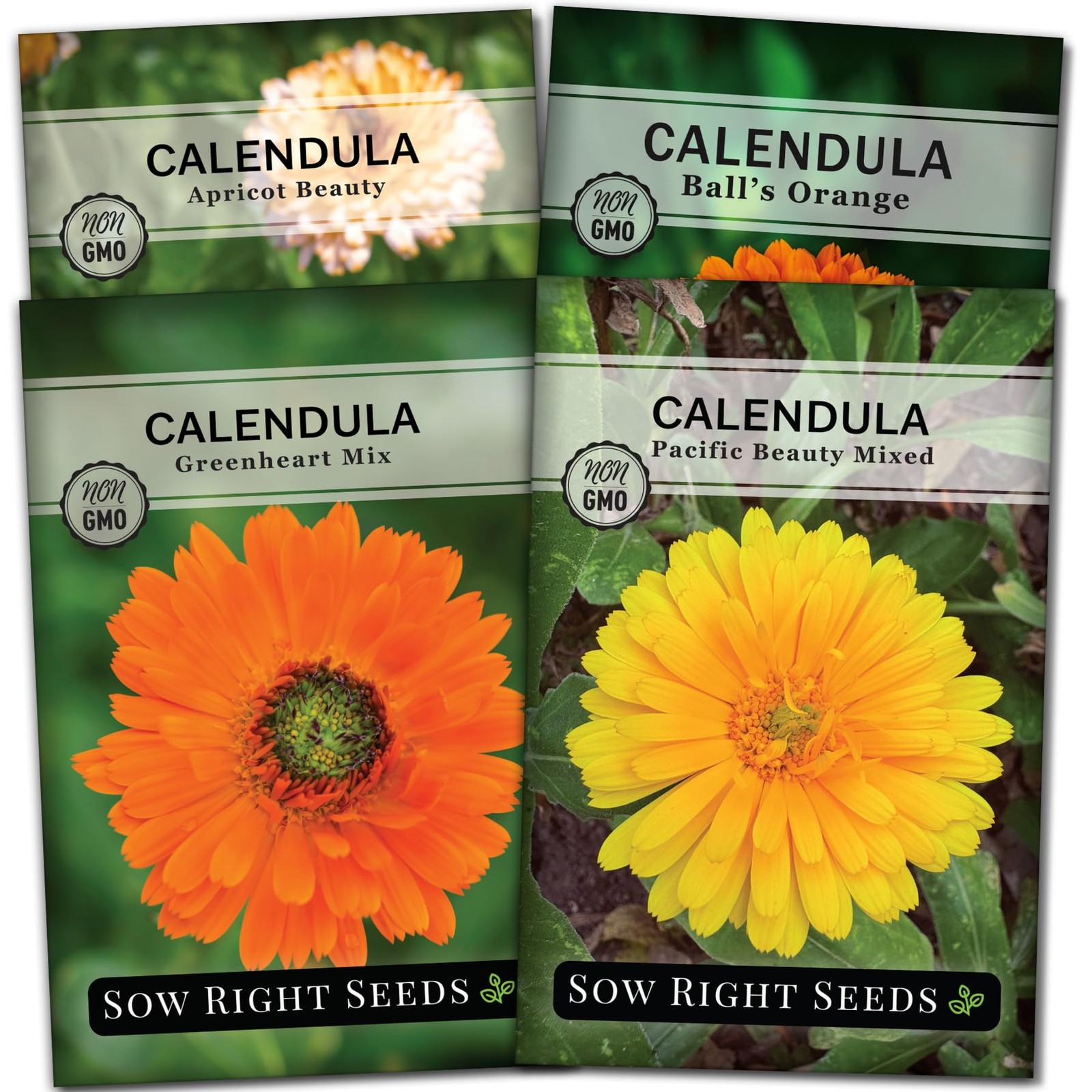 Sow Right Seeds – Calendula Seed Collection for Planting – Non-GMO Mix