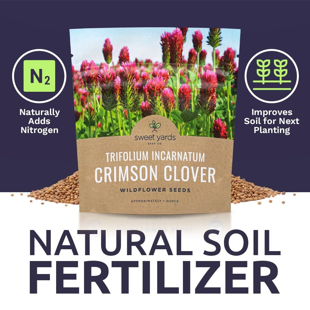 Crimson Clover Seeds – Extra Large Packet – Over 5,000 Open Pollinated NonGMO…