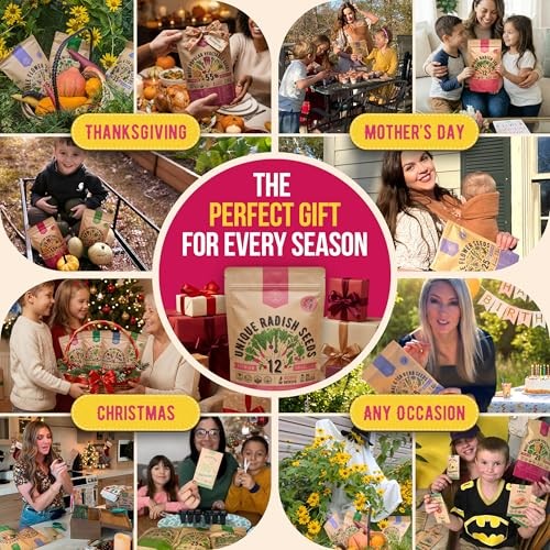 for Indoor & Outdoors 2400+ Heirloom Non-GMO 12 Radish Seeds Variety Pack