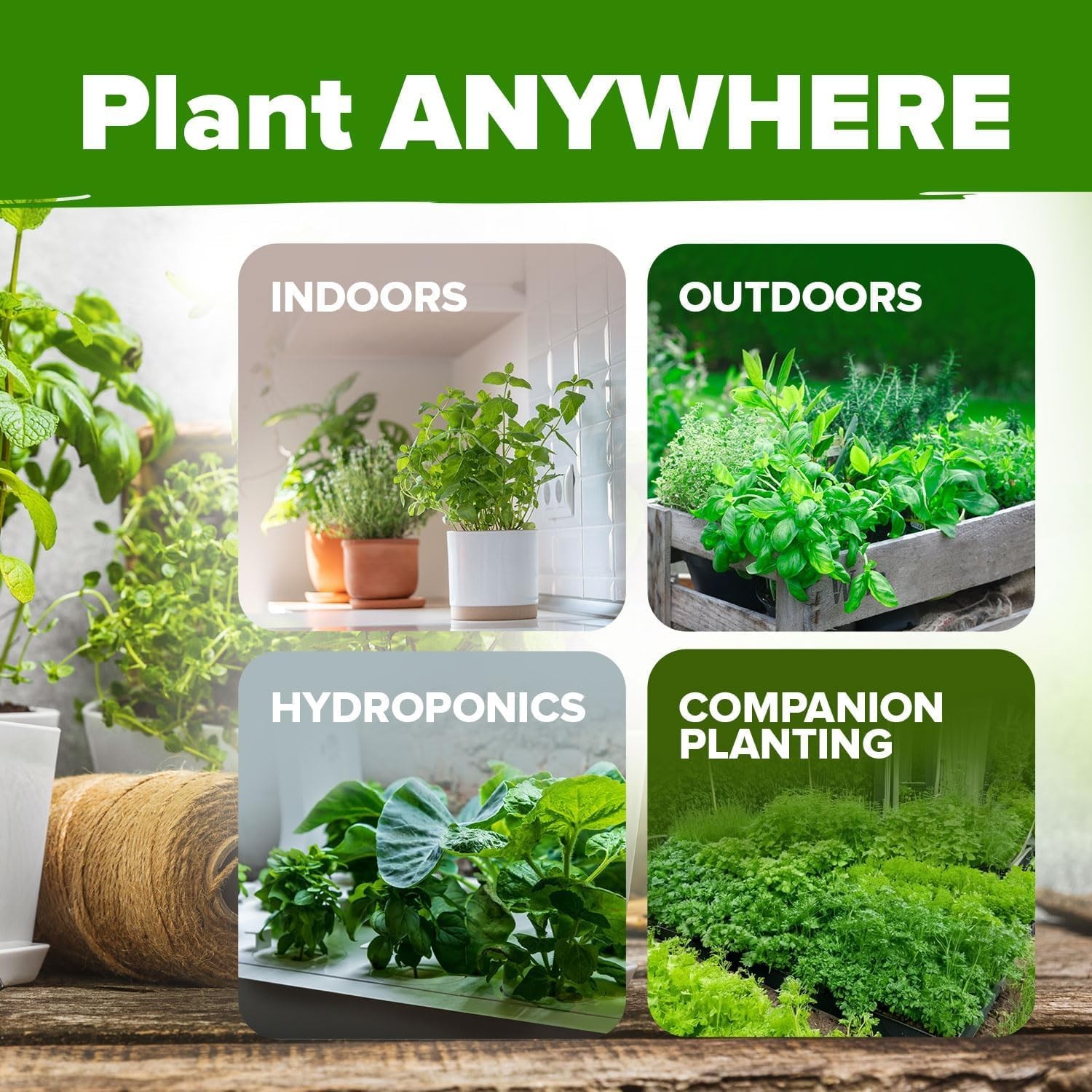 HOME GROWN Organic Herb Seeds Variety Pack – Non GMO, Heirloom 15-Pack, Multi