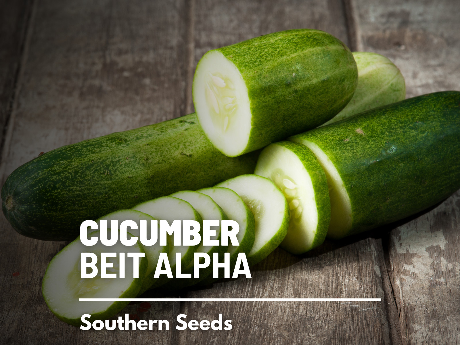 Cucumber, Beit Alpha – Heirloom Seeds – NonGMO (Cucumis sativus)