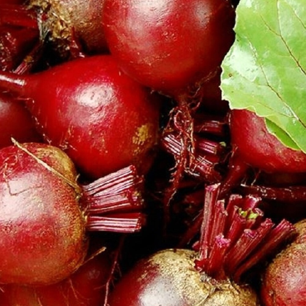 Dark Red Detroit Beet Seeds | NON-GMO | Heirloom | Fresh Garden Seeds