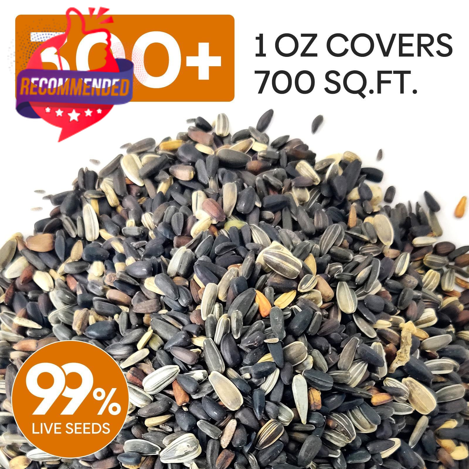 Sunflower Seeds Planting 15+ Varieties 1 Oz Mixed Colors Outdoor Garden Blooms